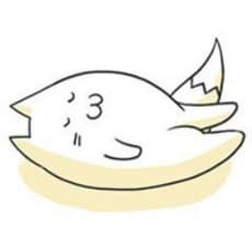 Koin